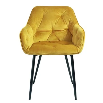 Velvet Fabric Valgomojo Kėdė Fotelis Svetainė