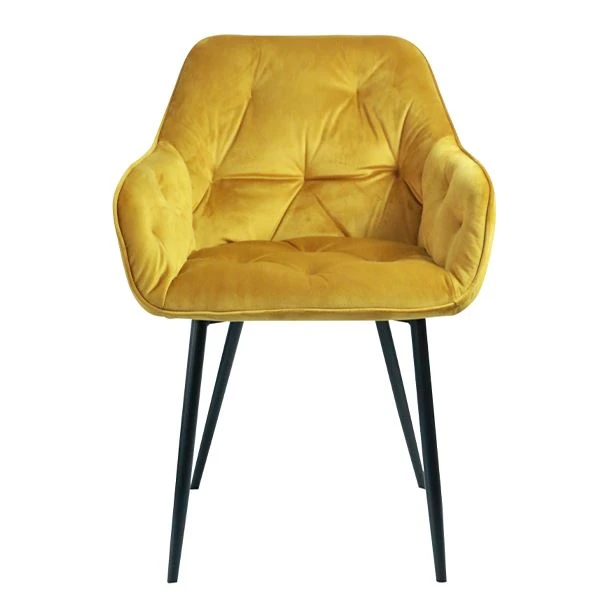 Velvet Fabric Valgomojo Kėdė Fotelis Svetainė